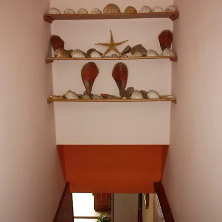 Vila Hodo Casa de hóspedes Vlorë